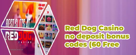 Real dog casino